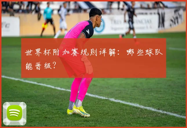 世界杯附加赛规则详解：哪些球队能晋级？