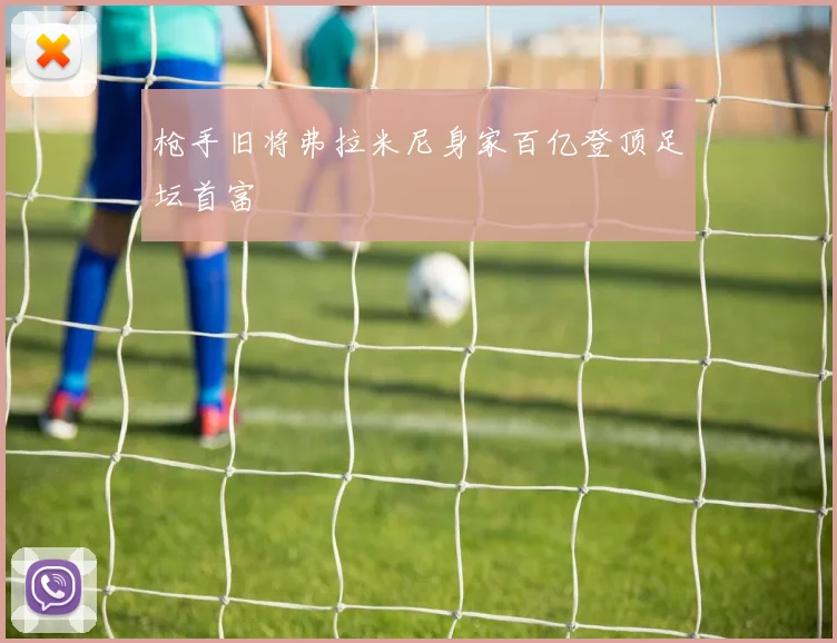 枪手旧将弗拉米尼身家百亿登顶足坛首富
